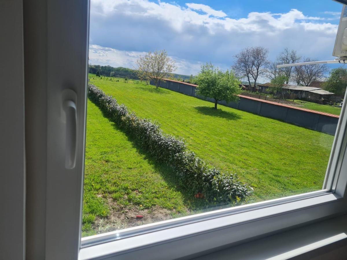 Apartman Ruzic Sveti Ivan Zabno Exterior foto